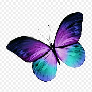 victoriadixon_1 avatar