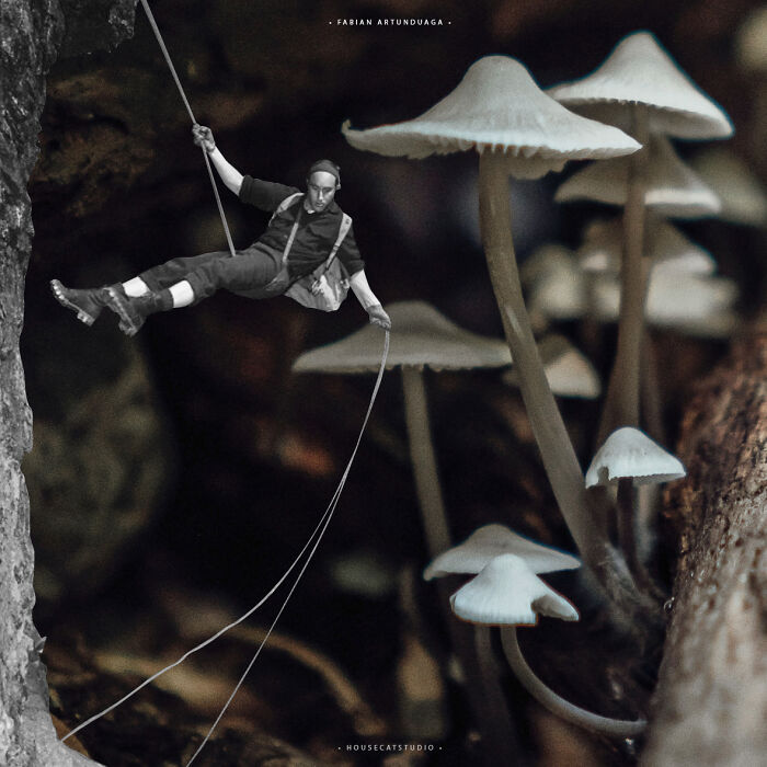 40 Nature Inspired Collages Tha Will Make Your Brain Hurt