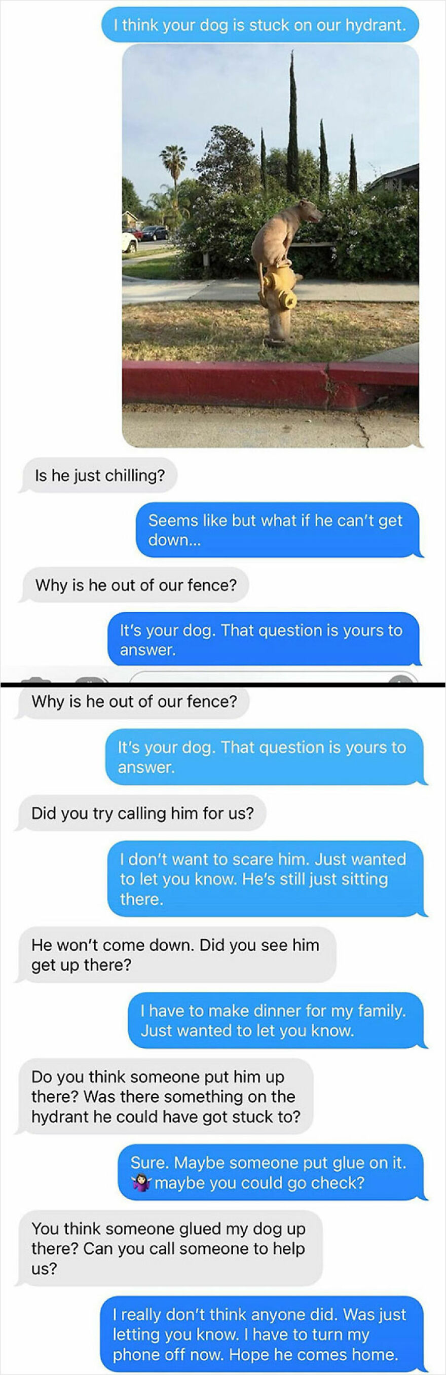 Dog stuck on a yellow fire hydrant in a quiet neighborhood scene with trees and houses nearby