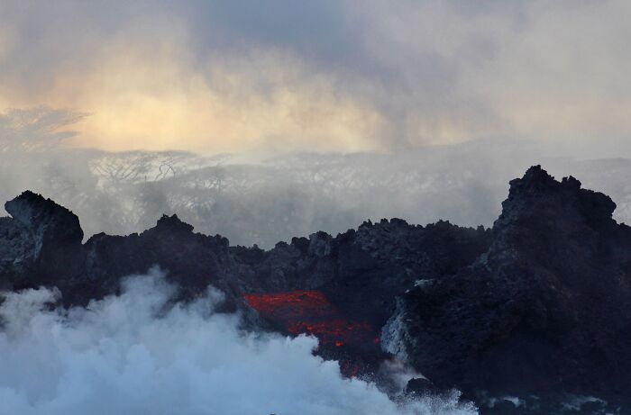 Doomed Trees Behind Advancing Lava On The Big Island, Hawaii