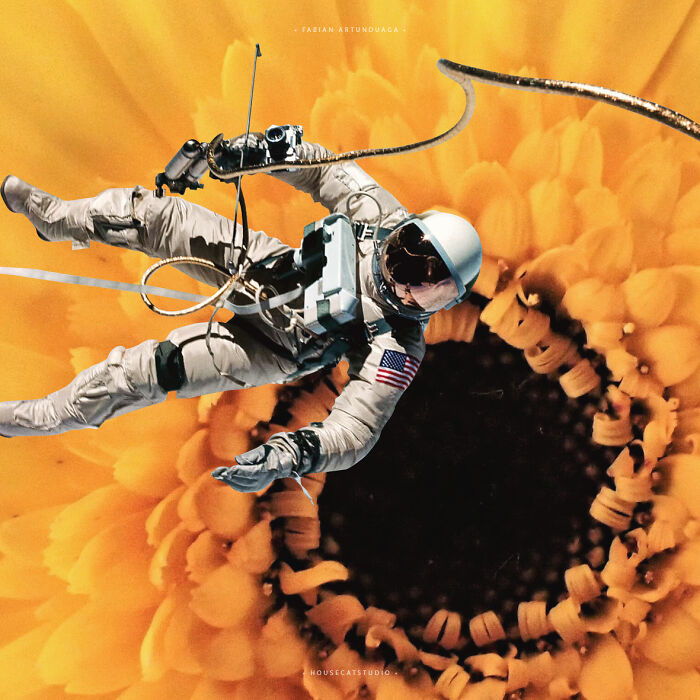 40 Nature Inspired Collages Tha Will Make Your Brain Hurt