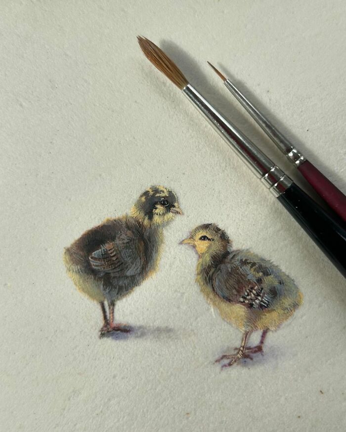 Two detailed paintings of baby birds on paper with two fine paintbrushes, showcasing natural world beauty by Dina Brodsky.