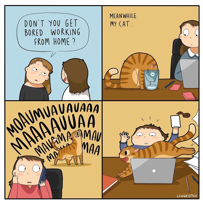 Comic panel showing a relatable cat owner distracted by their cat while working from home in a funny cat comics style.