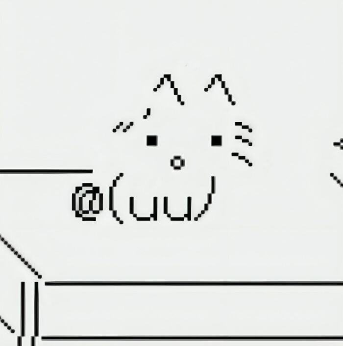 Pixelated cat kaomoji with whiskers and ears in a simple black and white text art style.