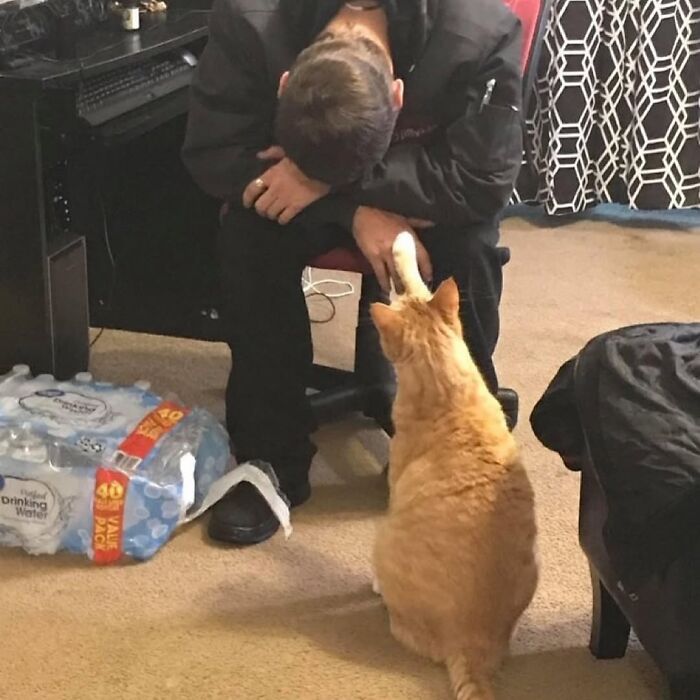 Illustration of a person sitting with head down as a viral cat moment is turned into funny art by an artist.