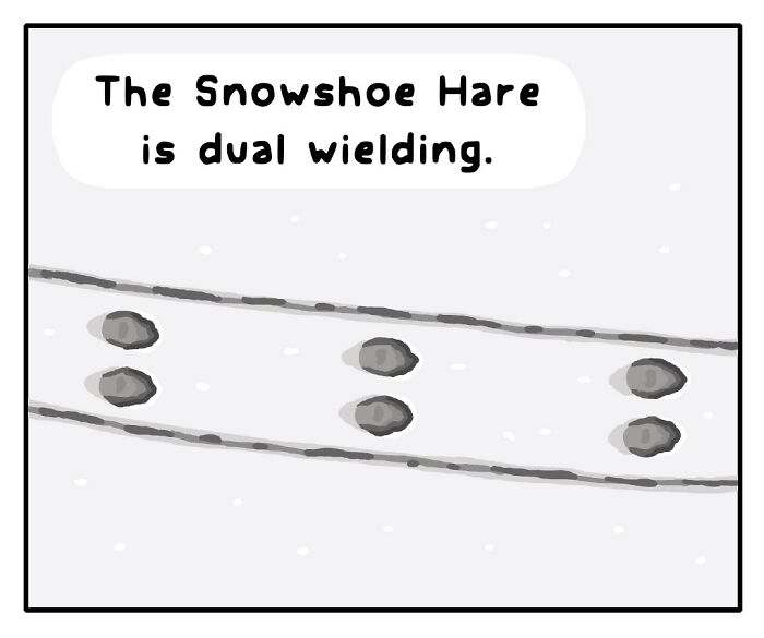 Comic panel showing animal footprints in snow with text about an American Red Squirrel in playful wildlife artwork.