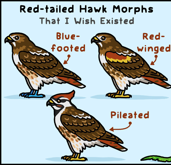 Definition of polymorphism in a playful comic style illustrating a nature and wildlife concept by an artist.