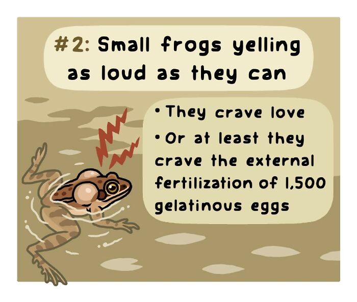 Playful comic featuring a robin as a sign of spring, highlighting the funny side of nature and wildlife.