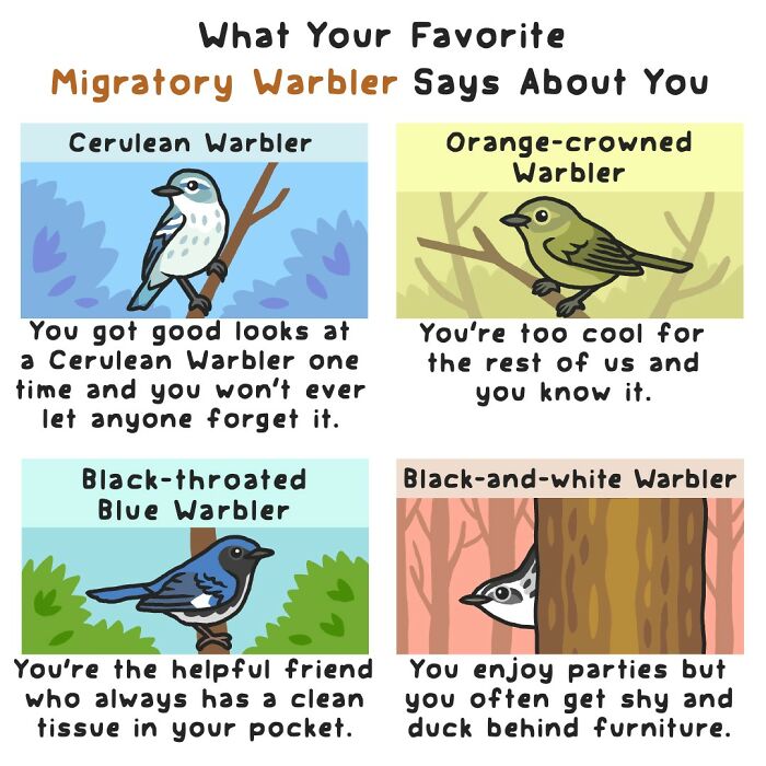 Playful comics depicting migratory warblers with funny descriptions showing the humorous side of nature and wildlife.