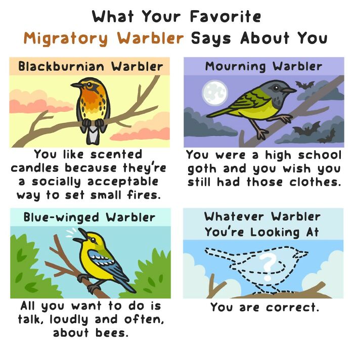 Playful comics depicting migratory warblers with funny descriptions showing the humorous side of nature and wildlife.