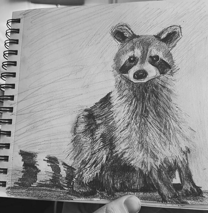 Charcoal sketch of a raccoon on paper, detailed fur texture and shading, exploring tattoo design concepts for clients.