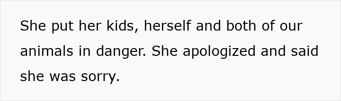 Text on a plain background stating someone put kids, herself, and animals in danger but apologized afterwards. Text on a plain background stating someone put kids, herself, and animals in danger but apologized afterwards.
