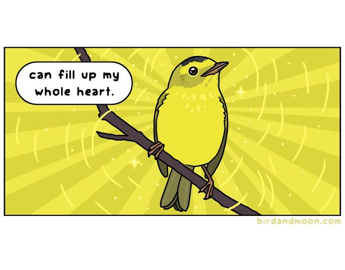 Cartoon of a person in a forest with text about looking for a tiny part of the universe, playful comics on nature and wildlife.