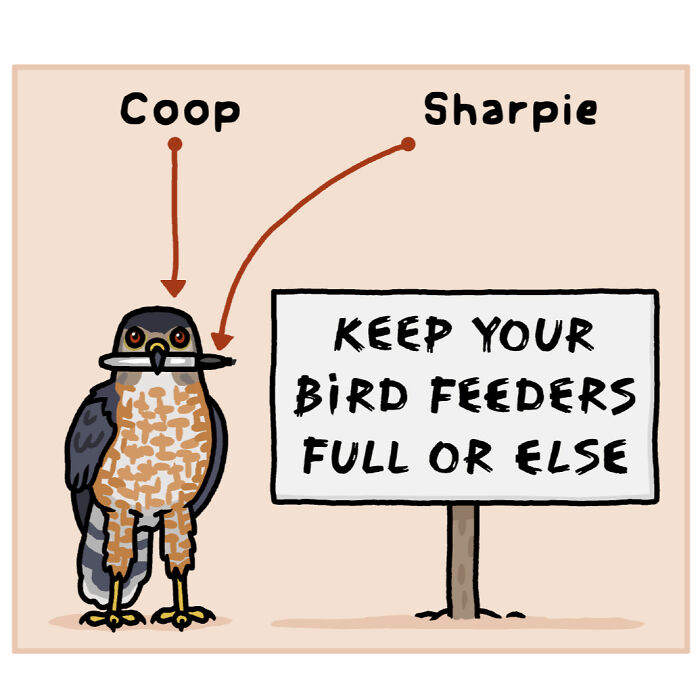 Illustrated comic showing differences between two birds, highlighting playful nature and wildlife in a fun artistic style.