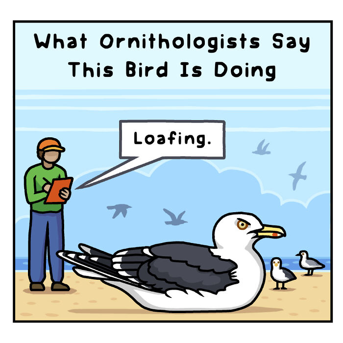 Definition of loafing in playful comics showing the funny side of nature and wildlife by an artist.