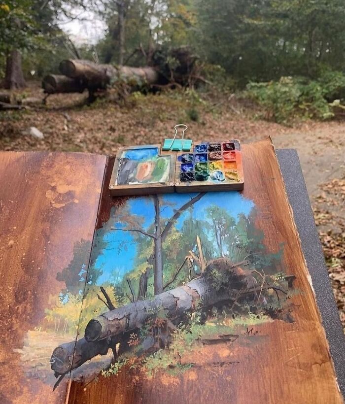 Watercolor painting of a fallen tree in a forest by Dina Brodsky showing detailed natural world beauty.