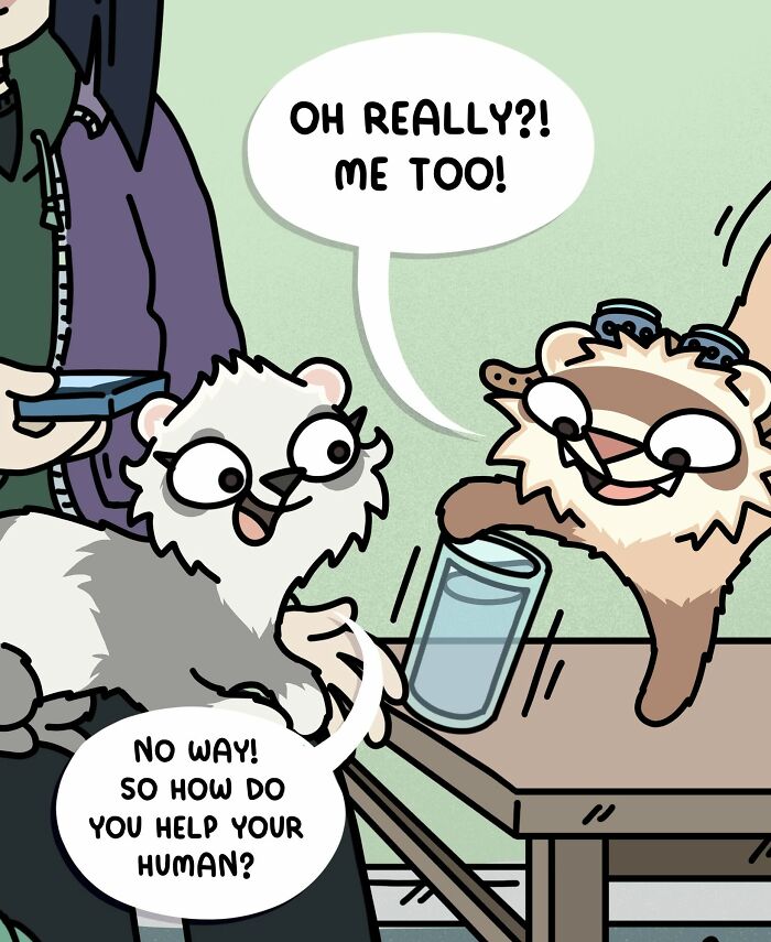 Cartoon showing two ferrets talking about being therapy ferrets, illustrating life living with two ferrets and a cat.