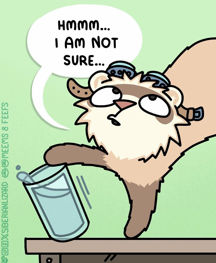 Cartoon showing two ferrets talking about being therapy ferrets, illustrating life living with two ferrets and a cat.