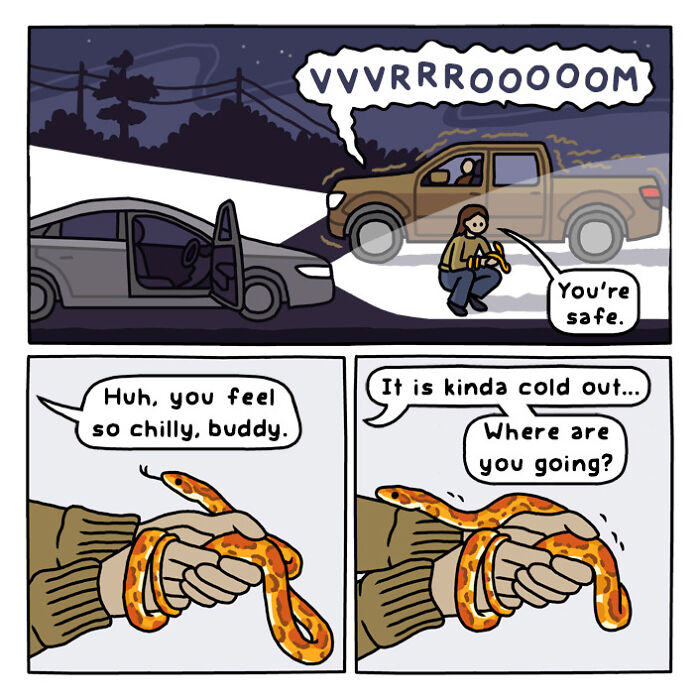 Woman driving at night through a forest road in a comic panel from playful nature and wildlife artwork series.