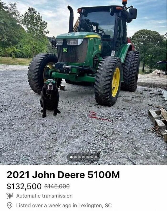 Black dog wearing sunglasses sitting in front of a green tractor, showcasing adorable animal moments outdoors.