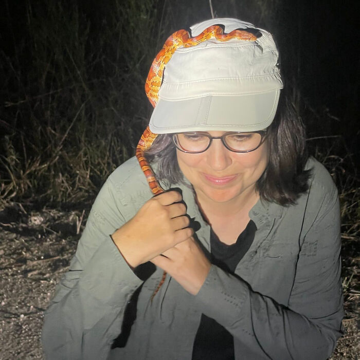 Woman driving at night through a forest road in a comic panel from playful nature and wildlife artwork series.