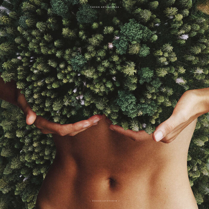 40 Nature Inspired Collages Tha Will Make Your Brain Hurt