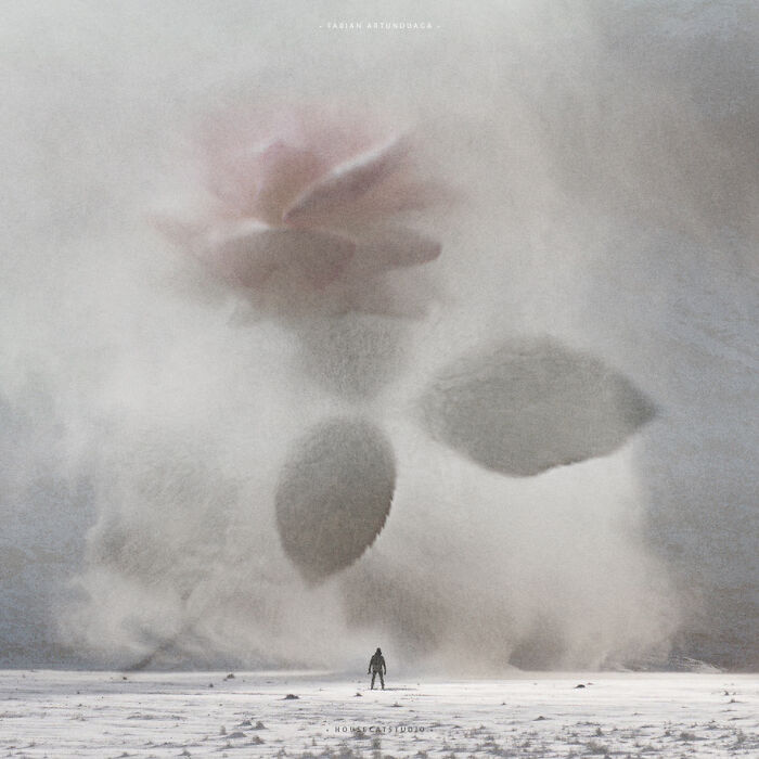 40 Nature Inspired Collages Tha Will Make Your Brain Hurt