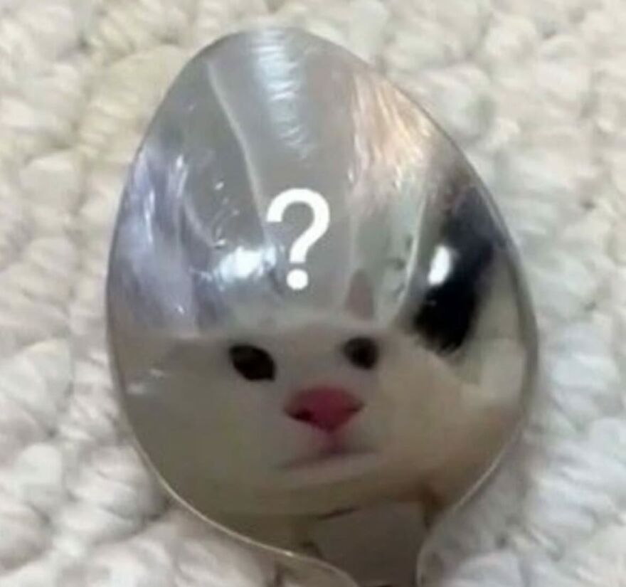 A cat's confused face reflected on a spoon with a question mark, showcasing funny cat moments.
