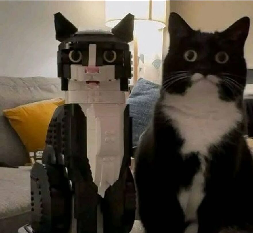 Black and white cat sitting next to a matching black and white LEGO cat figure on a couch indoors.
