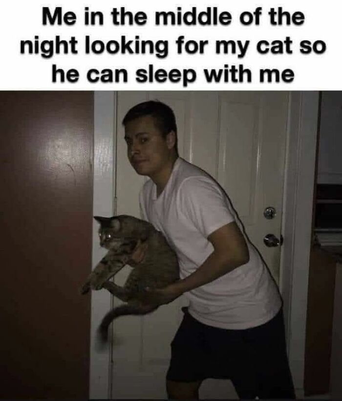 Person holding a cat at night looking for their pet with cute cat memes humor about cat companionship.