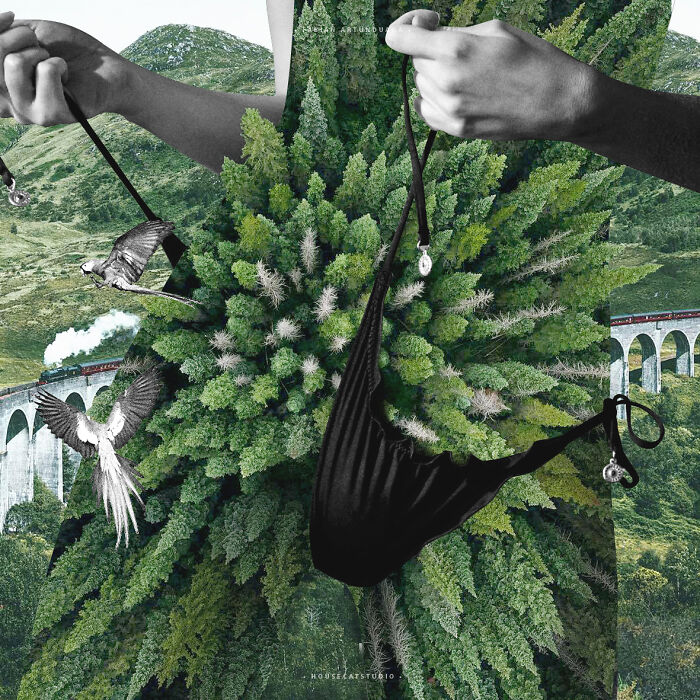 40 Nature Inspired Collages Tha Will Make Your Brain Hurt