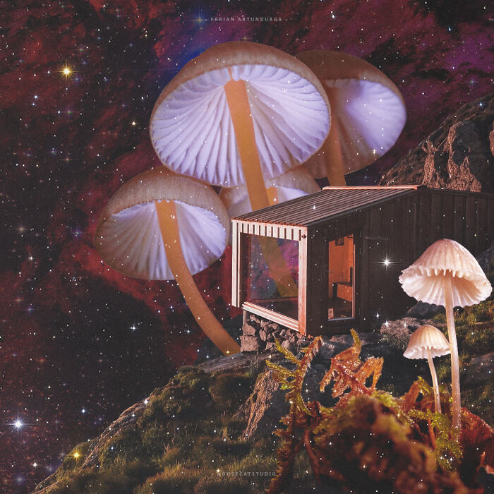 25 Out-Of-This-World Collages From Fabian Artunduaga That Bend Space And Reality