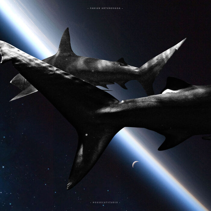 25 Out-Of-This-World Collages From Fabian Artunduaga That Bend Space And Reality