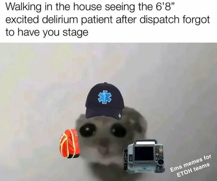 Meme showing an animal with EMT gear, illustrating a paramedic’s reaction to an excited delirium patient at a call.