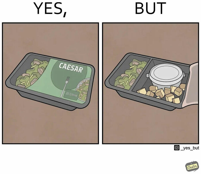 Comic showing a meal tray labeled Caesar salad under yes, and a separated tray with salad ingredients under but, illustrating a “Yes, but” comic.