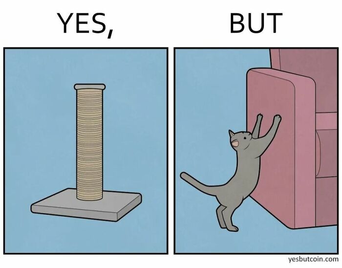 Cat scratching post shown with cat stretching on a couch, illustrating a hilarious and absurd yes but comic.