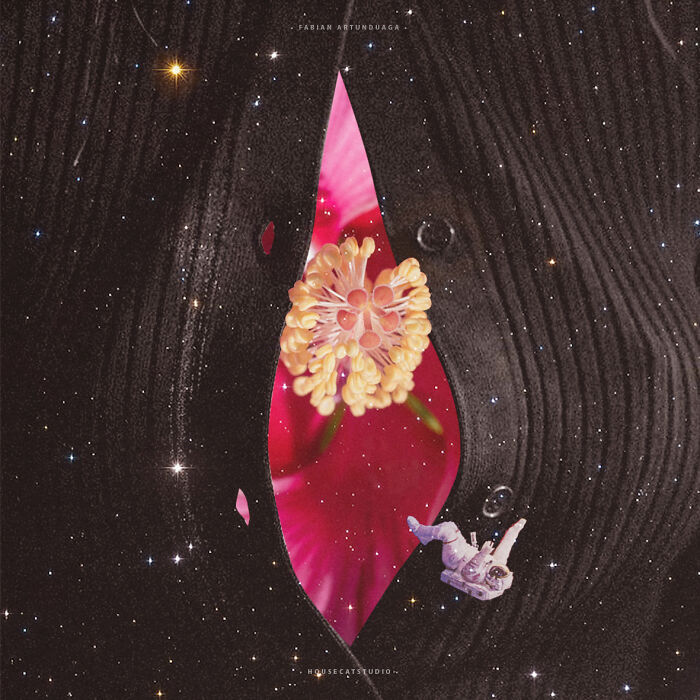 40 Nature Inspired Collages Tha Will Make Your Brain Hurt