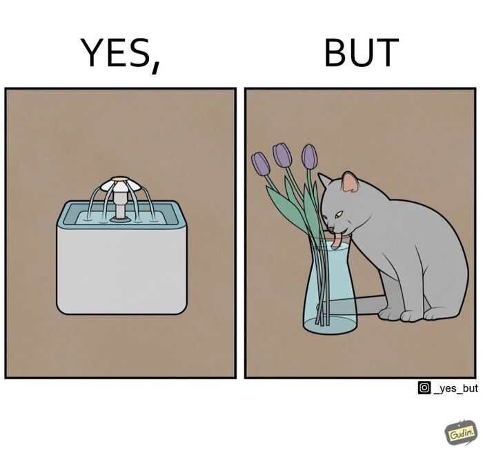 Illustration of a "Yes, But" comic showing a water fountain and a cat drinking water from a vase with flowers.