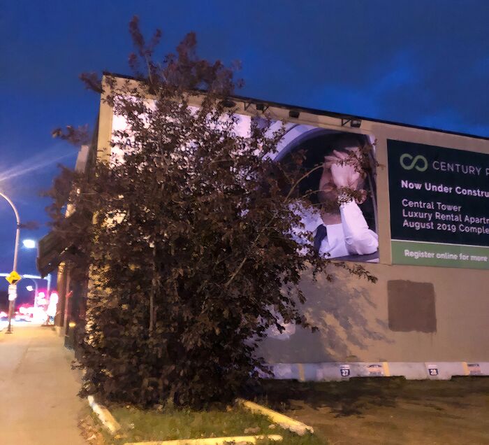 Billboard advertising placement fail partially obscured by tree branches at night, illustrating advertising placement fails that made people laugh.