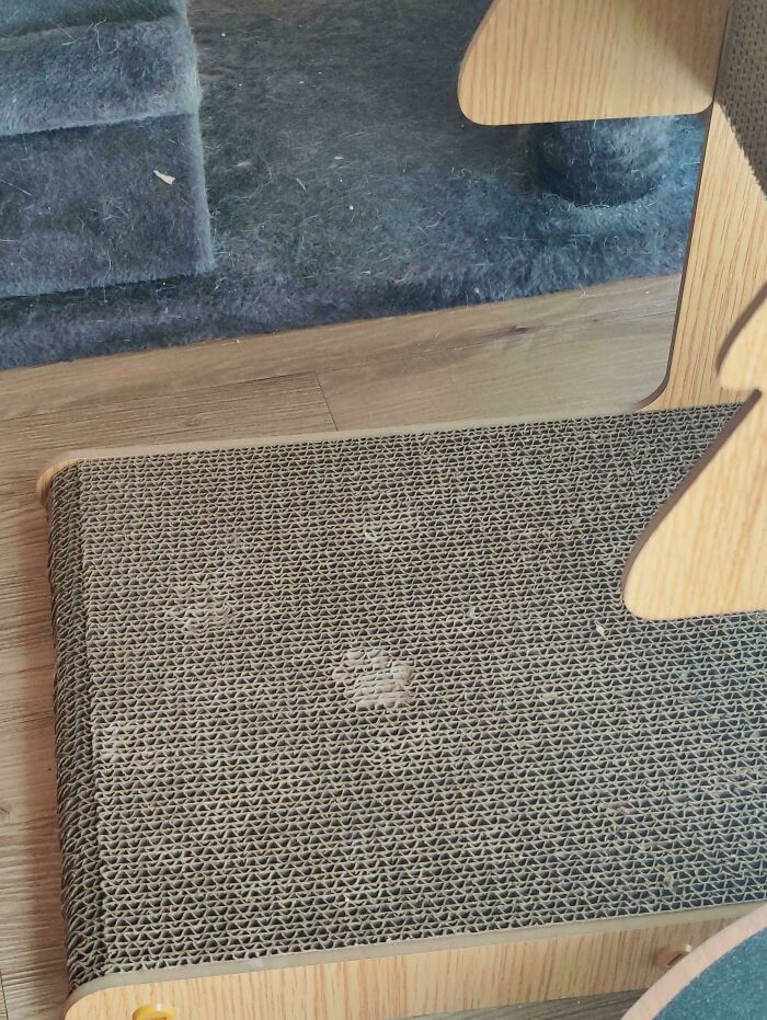 Cat paw prints visible on a textured scratching pad beneath wooden furniture on a hardwood floor.