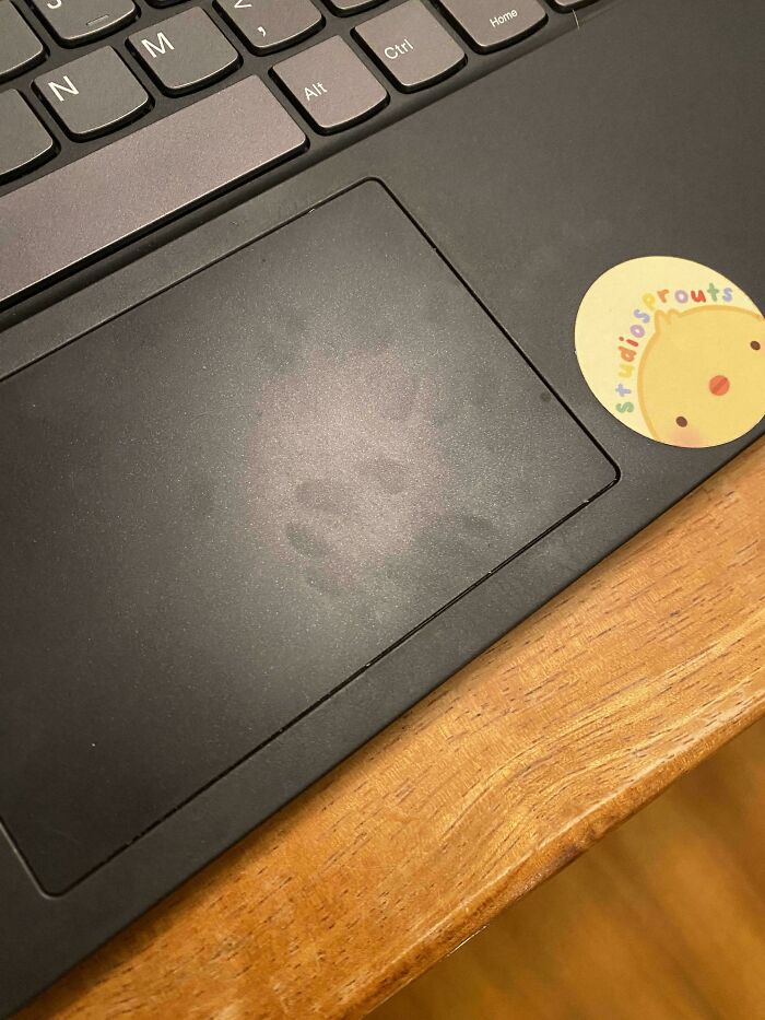 Faint cat paw prints visible on a black laptop touchpad next to a colorful round sticker on a wooden surface.
