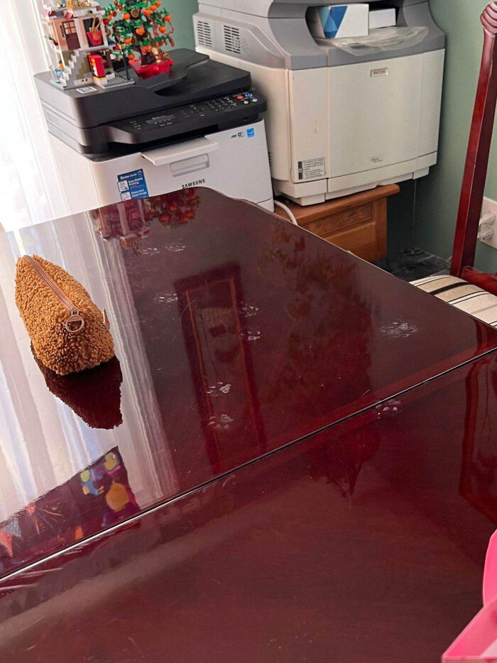 Shiny wooden table with multiple cute cat paw prints scattered across the surface near a textured pouch.