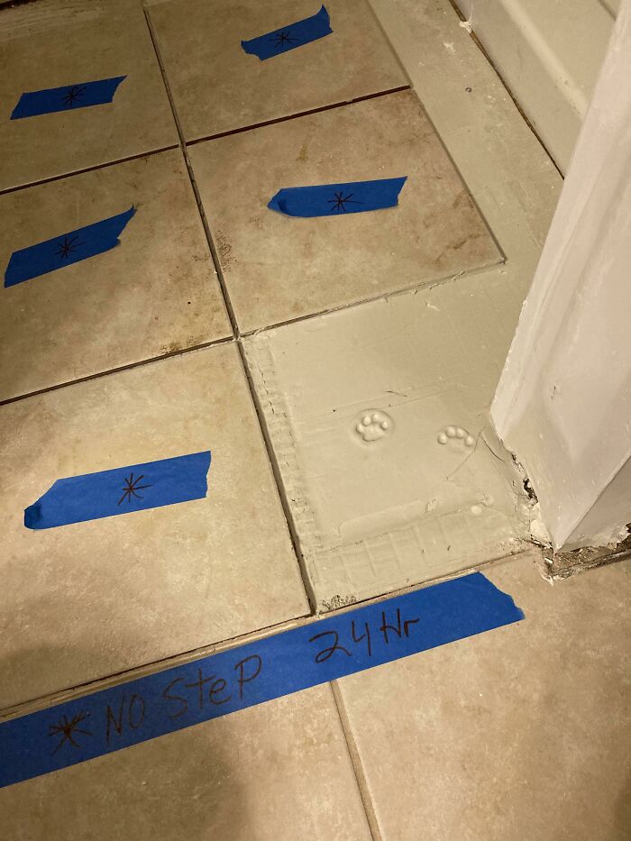 Wet cement with cute cat paw prints next to tiled floor marked with blue tape and no step warning.
