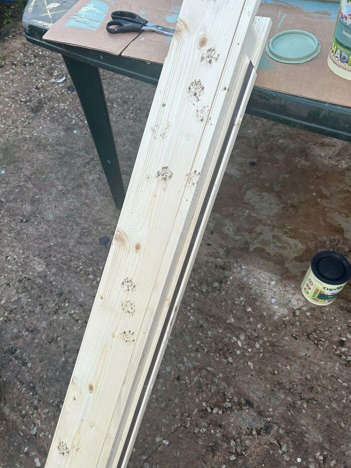 Light wooden plank with several cute cat paw prints along its surface, resting on a workbench outdoors.