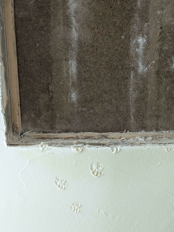 Imprinted cute cat paw prints on a freshly plastered white wall near a wooden frame and dark mesh screen.