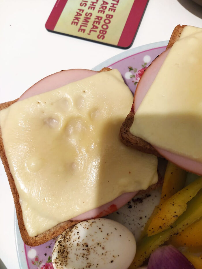 Toast with cheese showing a clear cat paw print melted into the cheese slice on a breakfast plate.