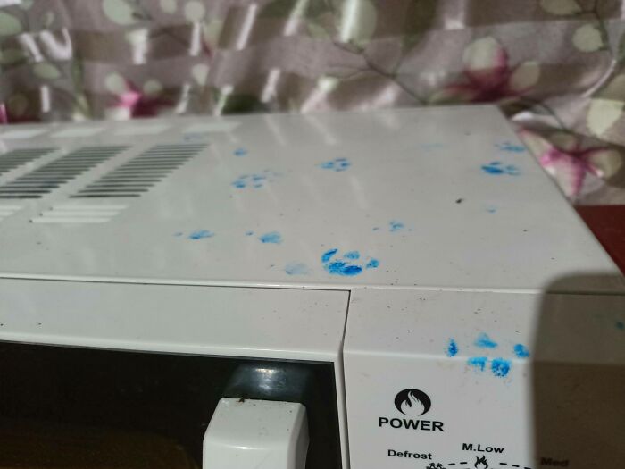 Blue cat paw prints scattered on a white microwave showing cute cat paw prints indoors.