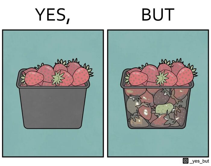 Yes, But comic by Anton Gudim showing fresh strawberries versus a container with both fresh and spoiled strawberries.