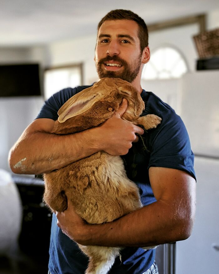 Man holding a giant rabbit indoors, showcasing one of the large animals so giant it’s hard to believe they are real.