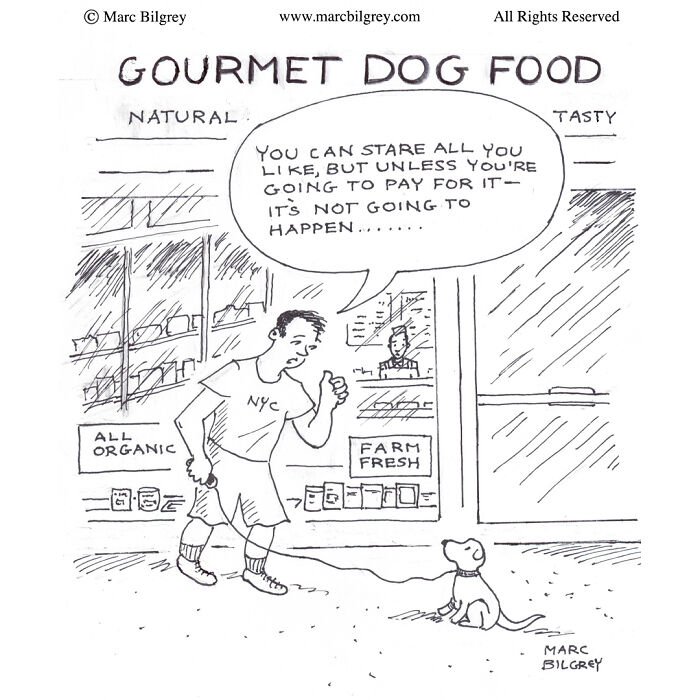 Marc Bilgrey cartoon shows a man explaining everyday irony outside a gourmet dog food store to his dog.
